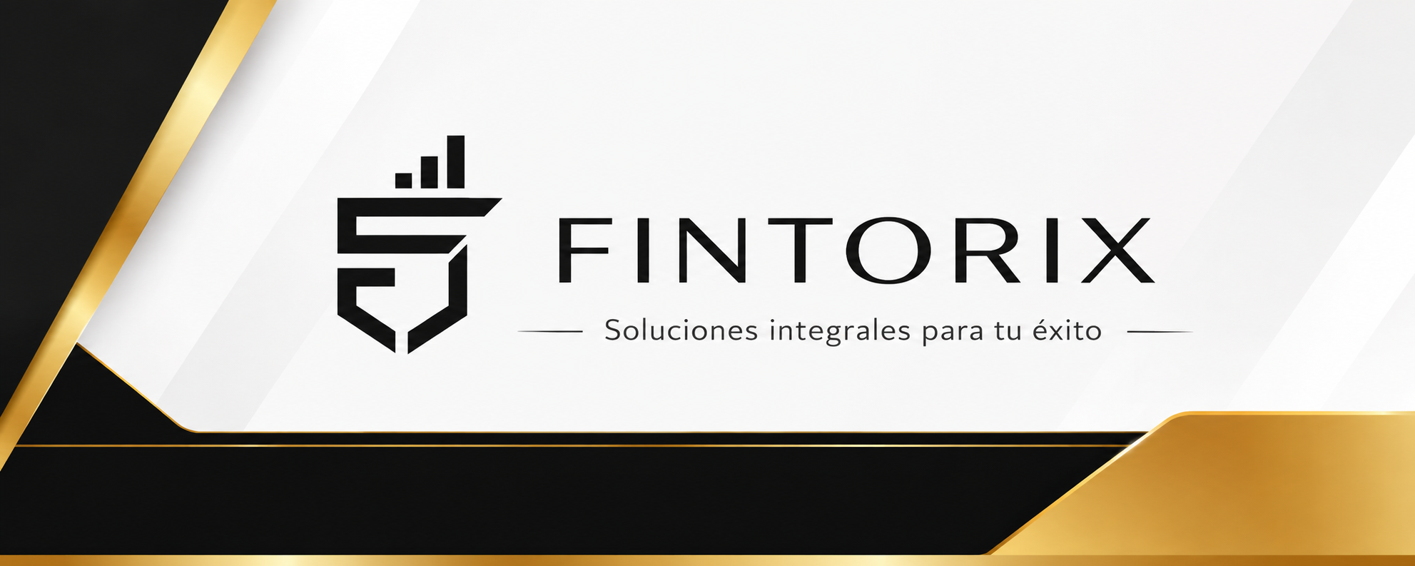 FINTORIX S.A.S. portada