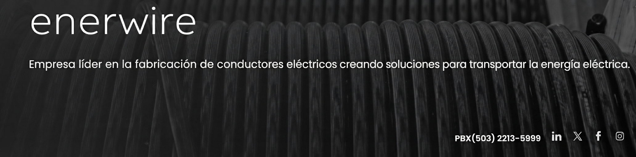 Enerwire portada