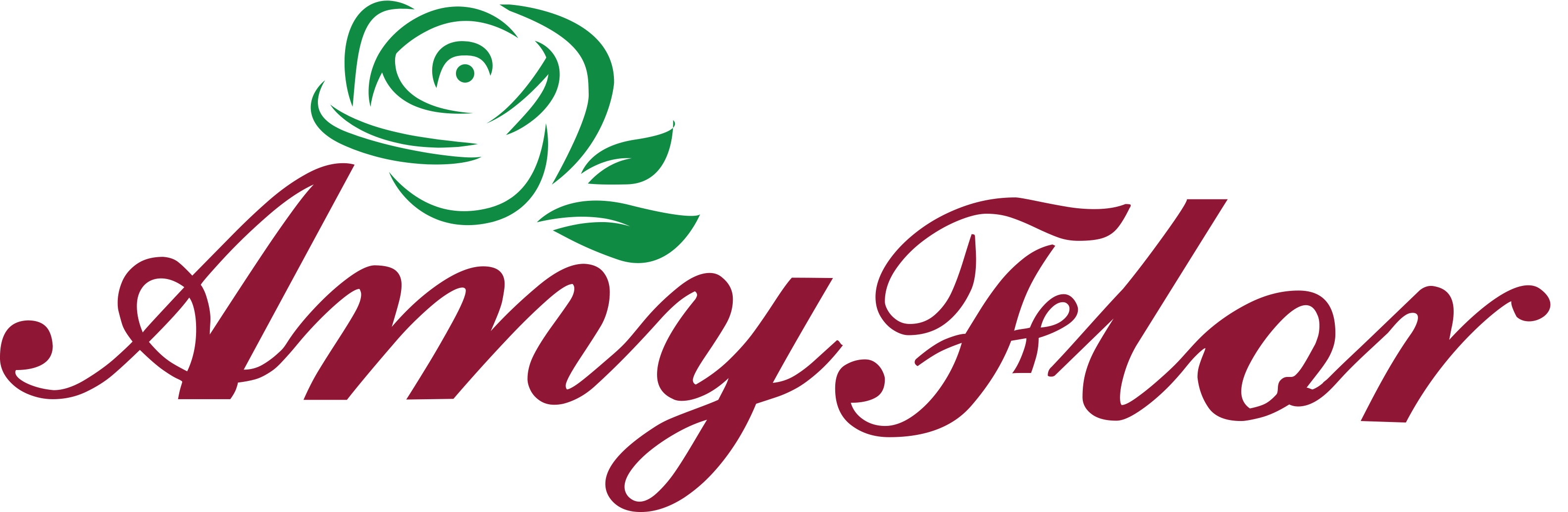 AMY FLOR SRL