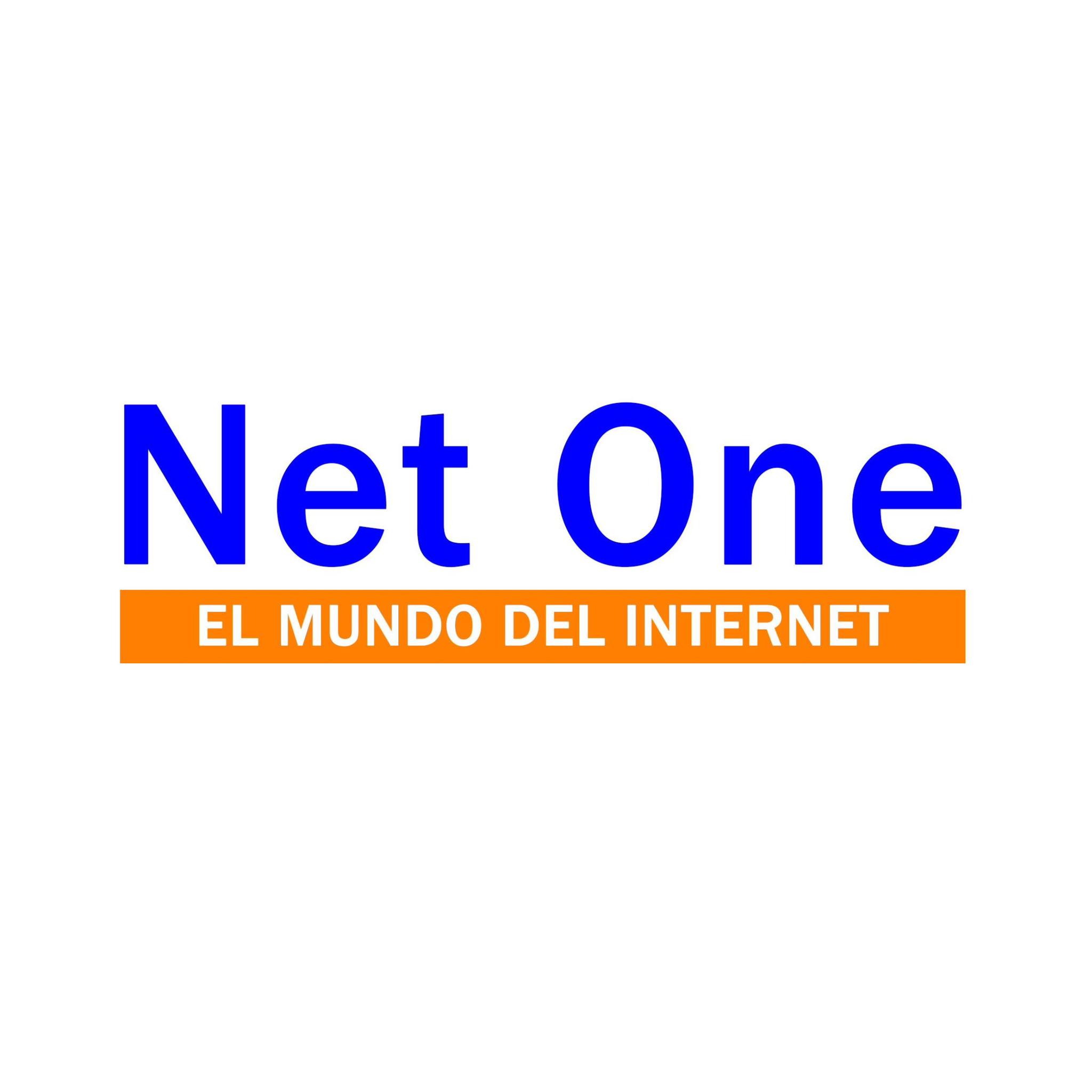 Net One